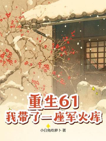 重生61,我带了一座军火库 重生61,我带了一座军火库